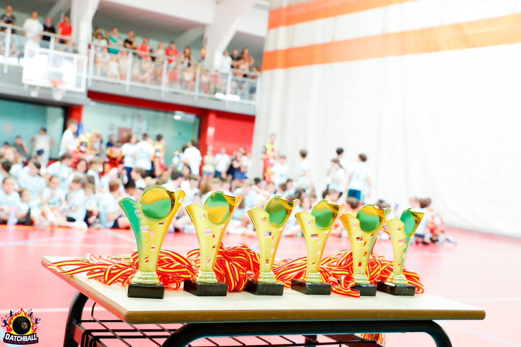 Trofeos y medallas de la primera temporada de Datchball Valdemoro